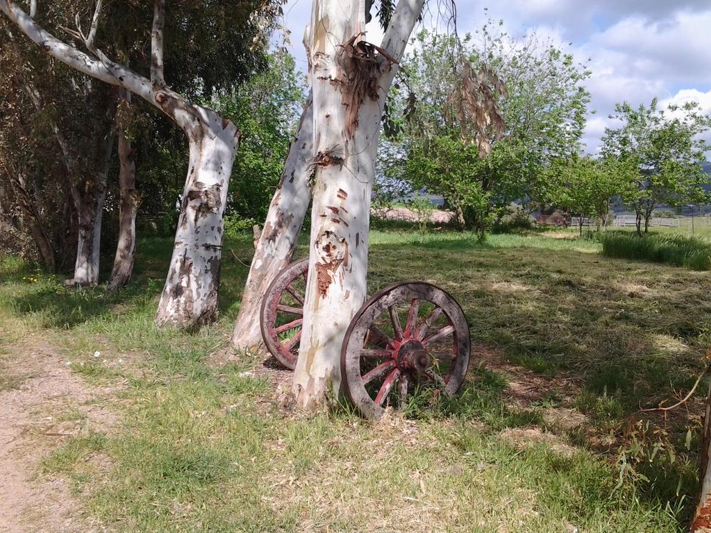 Agriturismo Spinalva Perfugas Dış mekan fotoğraf